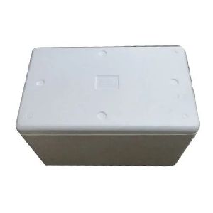 Thermocol Ice Packaging Box