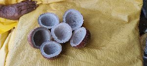 dry copra coconut