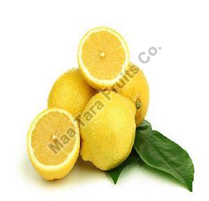 Fresh Lemon