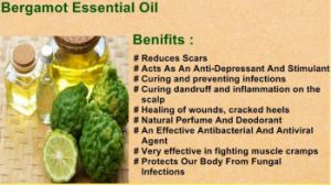 Bergamot Oil