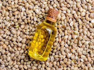 Hemp Seed Oil