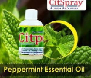 Peppermint Essential Oil