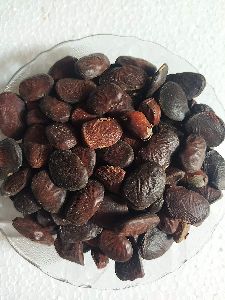 Karanj Seeds