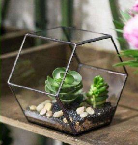 Tabletop Terrarium