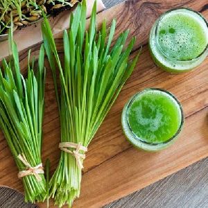 Barley Grass Juice