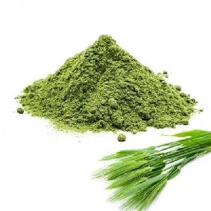 Barley Grass Powder