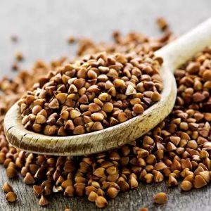 Buckwheat Seeds