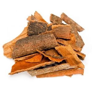 Cinnamon Bark