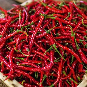 Dried Red Chilli