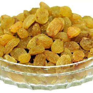 Golden Raisin