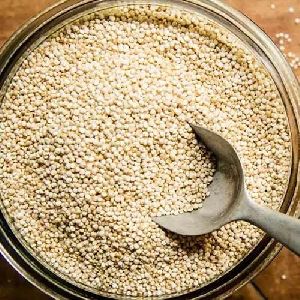 Quinoa Seeds