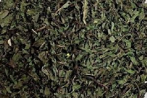 Dry peppermint leaves