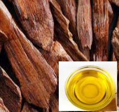 Sandalwood oil