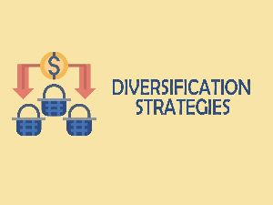 Business Diversification Strategy
