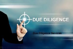 Due Diligence Audit Service