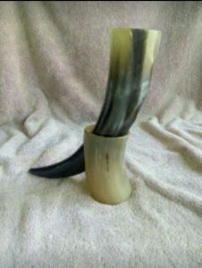 Viking Drinking Horn