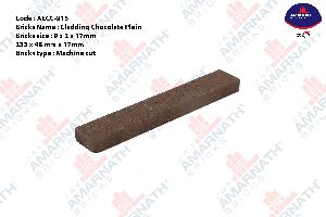 Red 3 Hollow Clay Brick