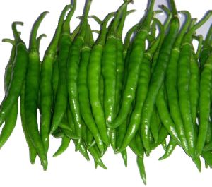 G4 Green Chili