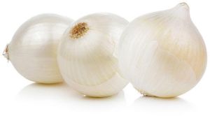 White Onion