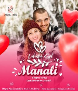 Manali Honeymoon Packages