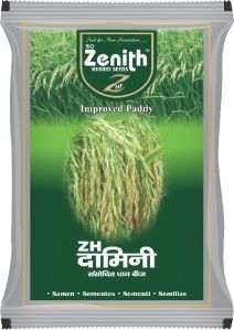 Damini Hybrid Paddy Seeds