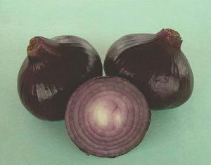 Hybrid Black Onion Seeds