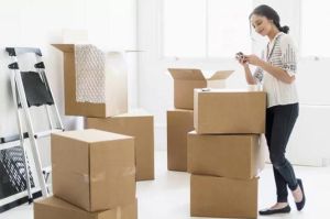 Domestic Shifting Services