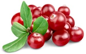 fresh cranberry