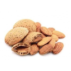 shell almond