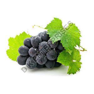 Fresh Black Grapes