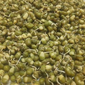 Dehydrated Moong Bean Sprouts