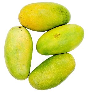 Fresh Dasheri Mango