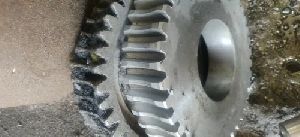 Worm Gear