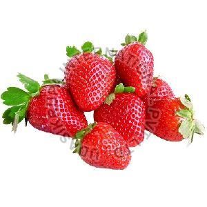 Fresh Strawberry