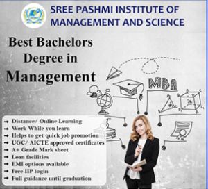 Best Bachelors Degree in Management