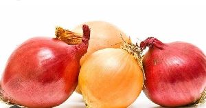 Maharashtra red onion