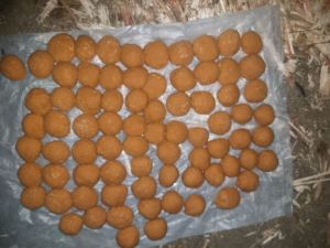 jaggery ball