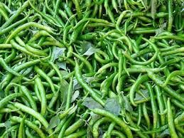 Fresh Green Chilli