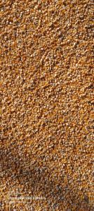 Maize Cattle Feed