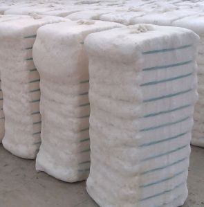 Cotton Bales