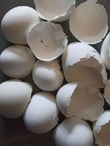 white egg shell