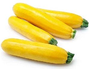 Fresh Yellow Zucchini