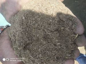 cow dung powder