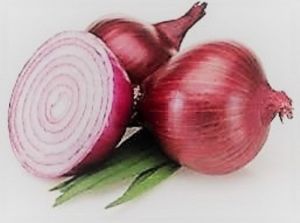 Red Onion