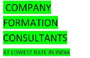 company formation consultant