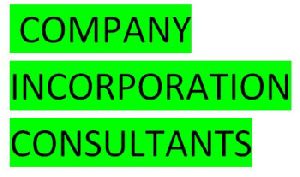 company incorporation consultant