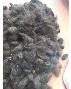 Raw Human Hair