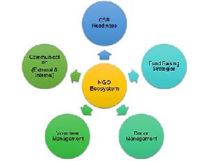 NGO Registration Consultants Services