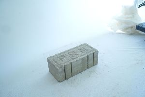 Flyash Bricks