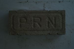 Flyash Bricks